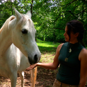 Un cavallo può essere allergico al fieno?  Scopri la storia della cavalla Juanita e la soluzione per la sua allergia…