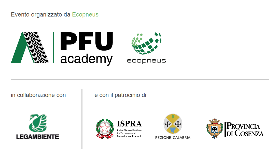 PFU Academy Cosenza