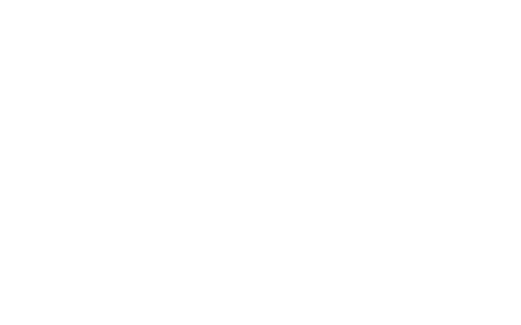 Journalists